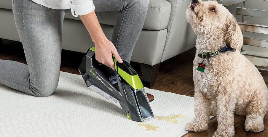 cordless steam cleaner