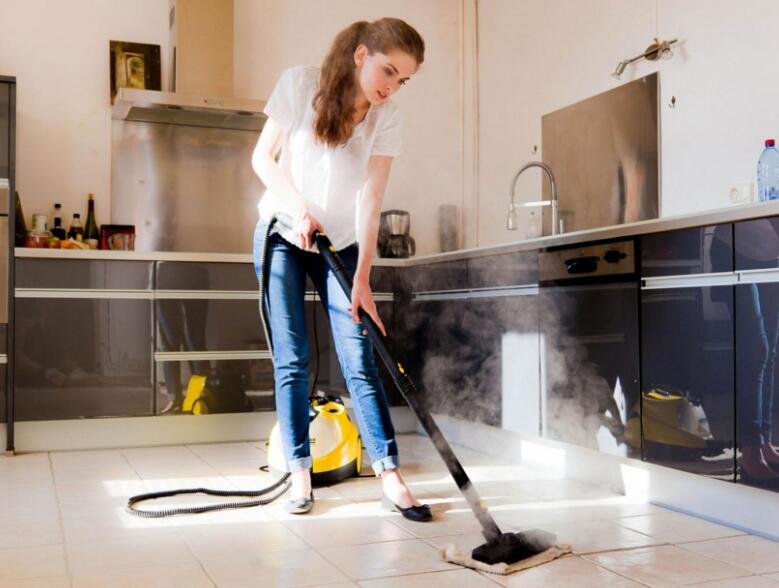 cordless steam cleaner price